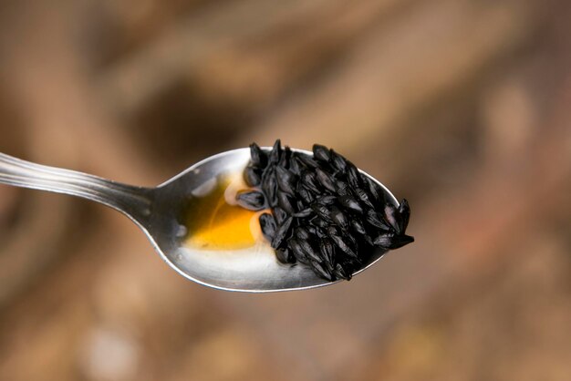 Organic_Cold_Press_Black_Seed_Oil_on_Spoon